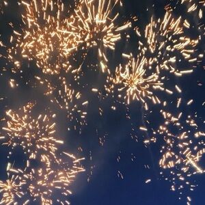 Meet your Posher, Ingrid